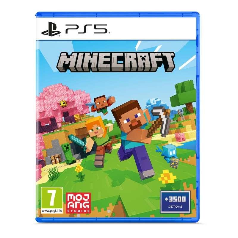 PlayStation Minecraft