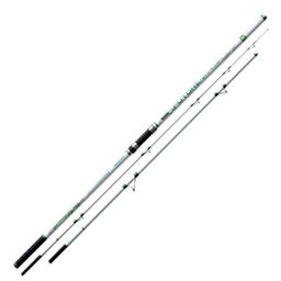 Canne FF FUTURE HYBRID 4.20 MT 300 GR 3 piéces