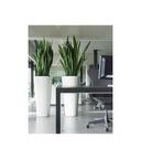 Conique Pot