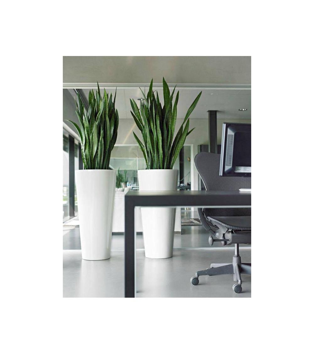 Conique Pot