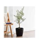 DE JARDIN