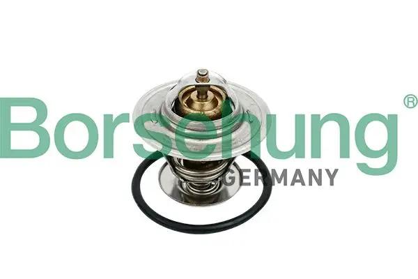 BORSEHUNG Thermostat d'eau Borsehung