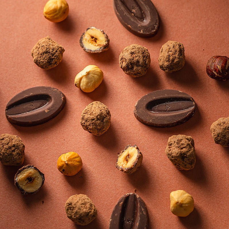 BONBONS NOISETTES AU CHOCOLAT VALRHONA