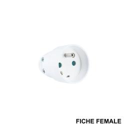 STIEL Fiche female