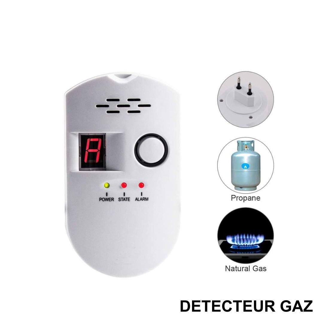 AVEL Detecteur gaz ART01456