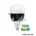 Lampe led 75 w ART04117