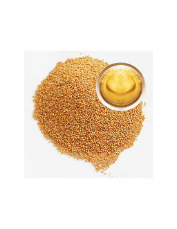 Graines de moutarde