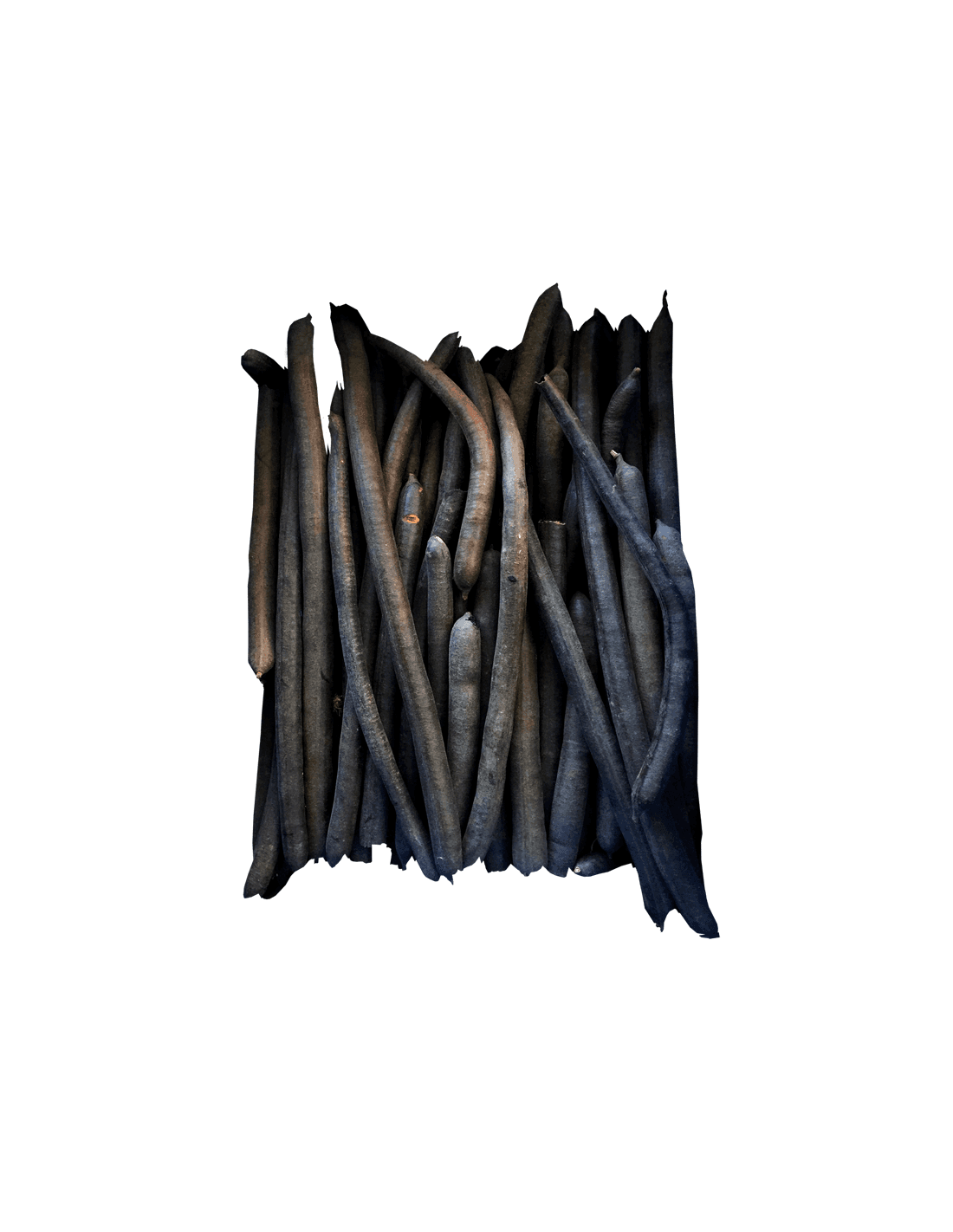 Cassia fistula bâton sauvage 500g
