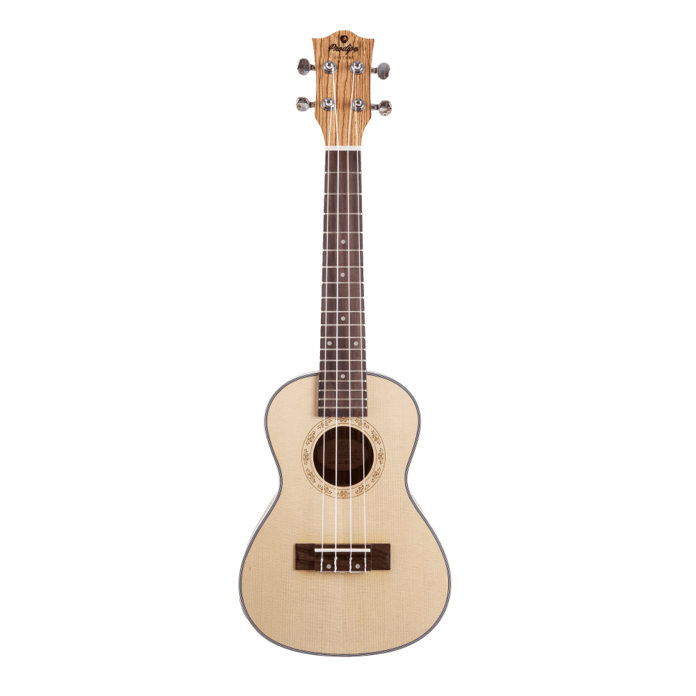 Prodipe BC25, Ukulélé concert