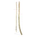 BSW TB2, baguettes Tabla traditionnelle tunisienne