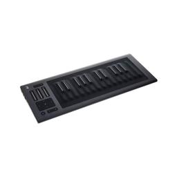 Roli Seaboard rise 25, Contrôleur MIDI USB en Silicone