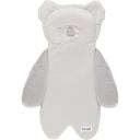 Koala Tineo