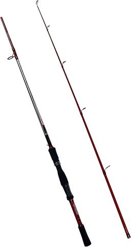 CANNE KALLI Renzo Valdieri EMPOLI II 2.70 m 15 40 GR