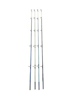 Scion universelle pour canne 4.20m 4 couleurs