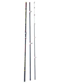 Canne potenza 4.20m carbone 100-200 gr