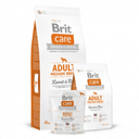 Care Adult Medium Breed Agneau & Riz