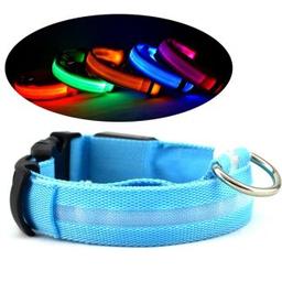 Collier de Chien Clignotant