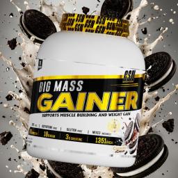 BIG MASS GAINER 3KG GSN