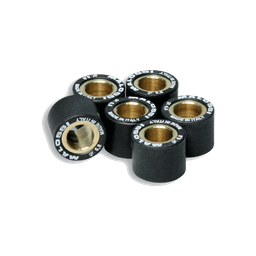 galets Jeu Malossi Ø15x12 8.3gr