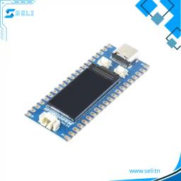 Raspberry PI RP2040