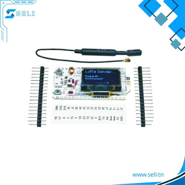 developpement ESP32 LORA