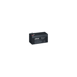 PLOMB Batterie AGM HRX 12V 12AH