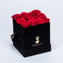 Sensibilité Velours Roses