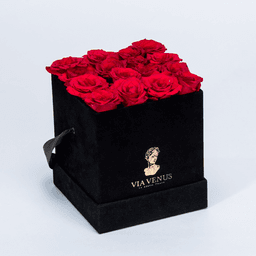 Sensibilité Velours Roses
