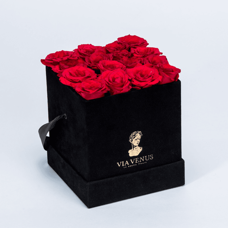 Sensibilité Velours Roses