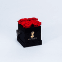 Tendresse Velours Roses