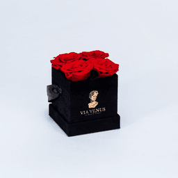 Tendresse Velours Roses