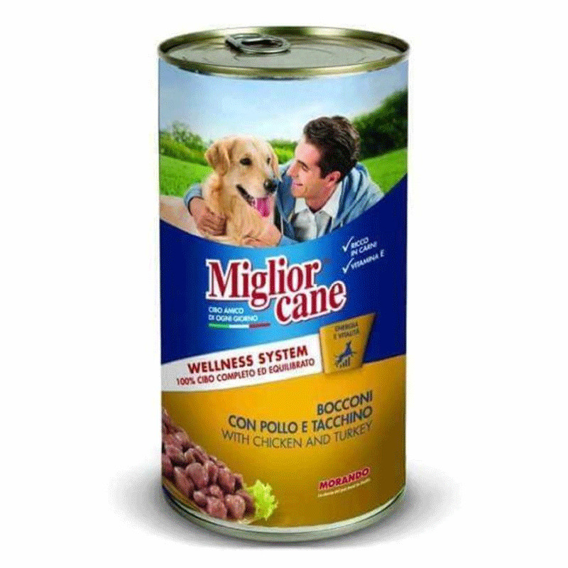 Miglior Cane Pour Chiens Miglior Cane