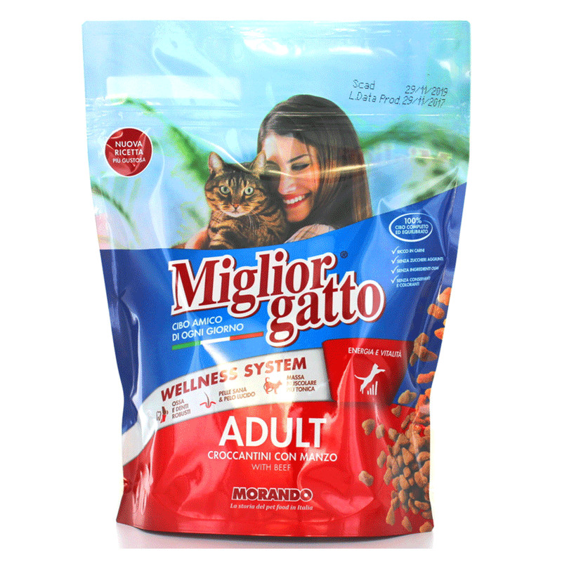Migliore Gatto Chat Bœuf Migliore Gatto