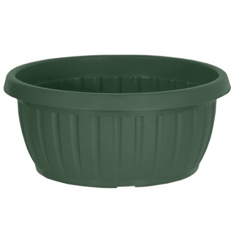 PATROL De Fleur Patrol Rond Iberis Forest 36Cm