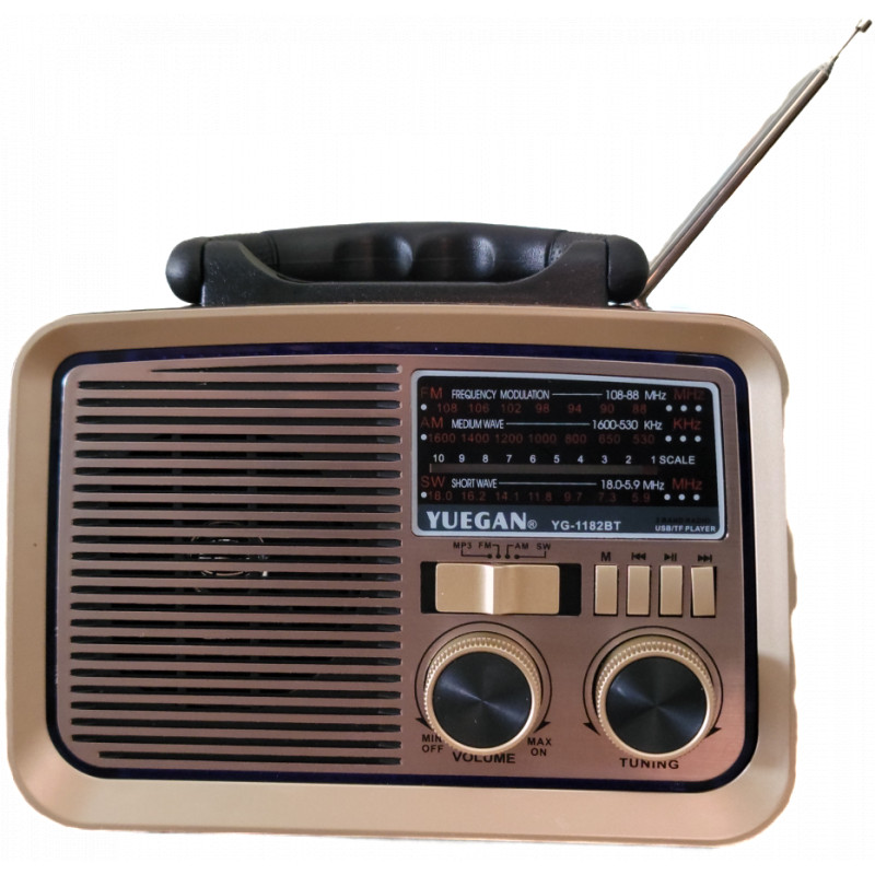 Yuegan Fm Bluetooth Yuegan YG-1182BT Marron