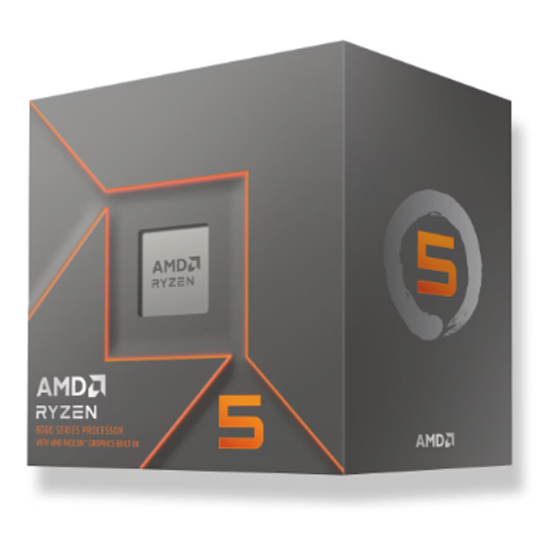 AMD RYZEN Processeur Ryzen 5 Box 5 GHz AM5