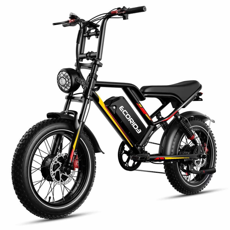 Ecoride Electrique Ecoride ER2 500 Watts