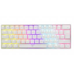 WHITE SHARK Shark GK-Switch