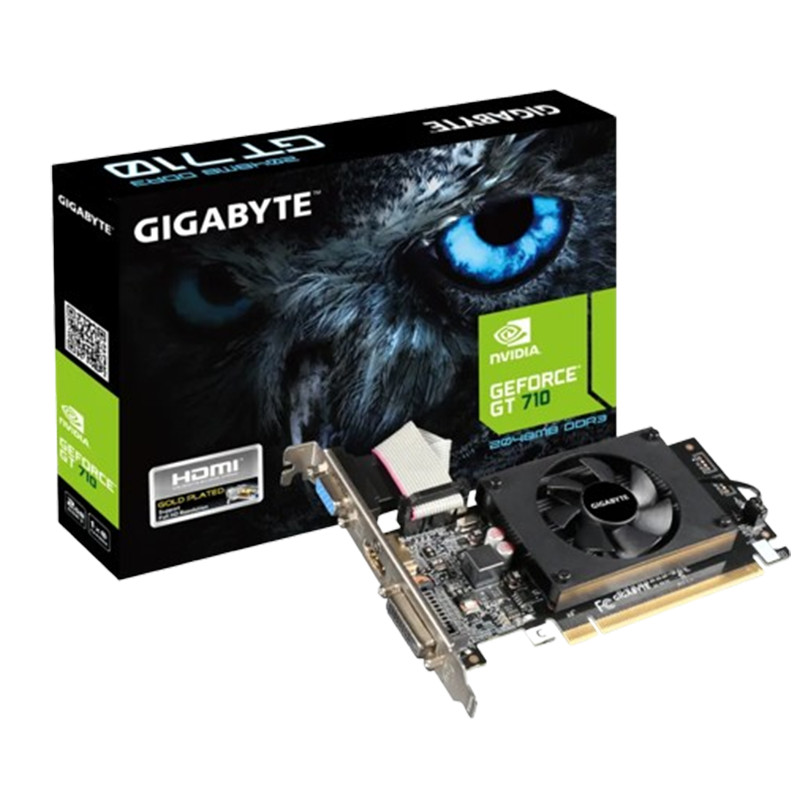 GIGABYTE Carte Graphique GeForce GT 710 DDR3