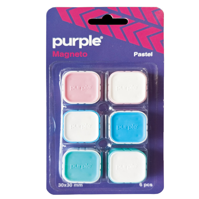 Purple Blister 6 Aimants Magneto Pastel Assorties
