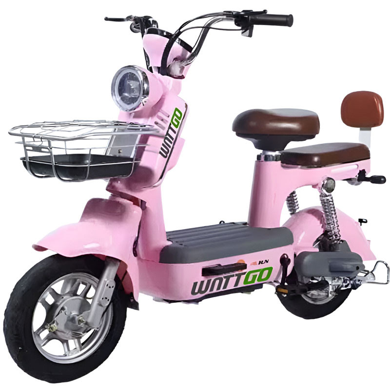 Wattgo Électrique Wattgo WG012 500W