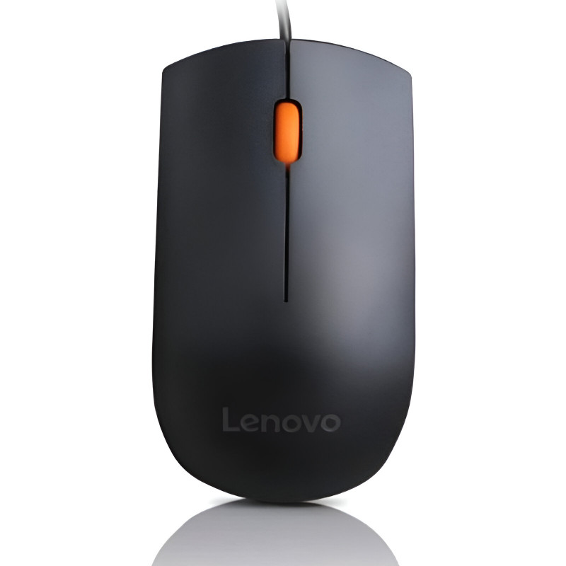 Lenovo Souris Filaire GX30M39704 Compact 300