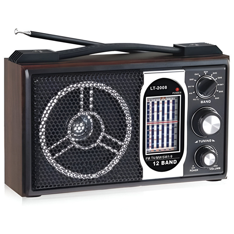 Yuegan Fm Bluetooth Yuegan LT2008 Marron