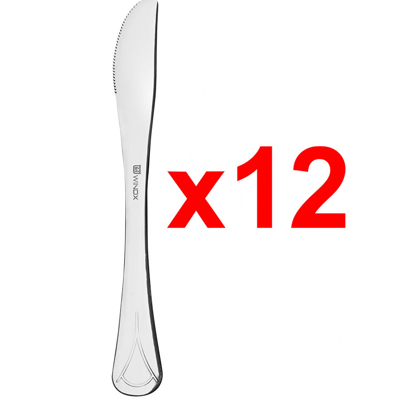 Winox Couteaux De Table Winox César 12 Pièces Inox