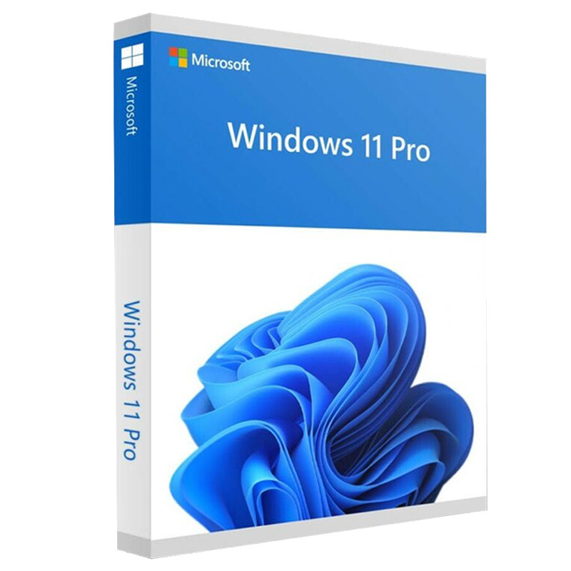 Microsoft Windows 11 Professionnel 64 bits DSP OEI DVD