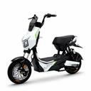 Wattgo Électrique Wattgo WG016 1000W