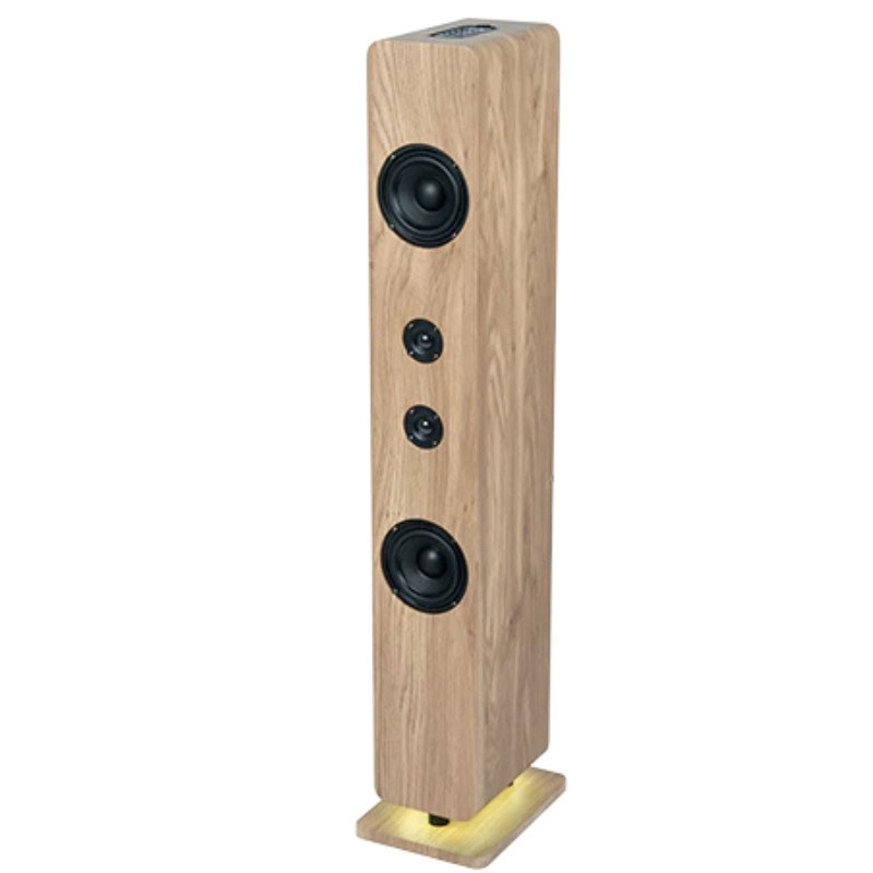 THOMSON Haut Parleur Bluetooth DS702 120W Bois