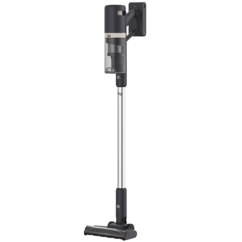 HOOVER Sans Fil Hoover HFG10H01 165W