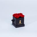 TENDRESSE BOX ROSES ROUGES
