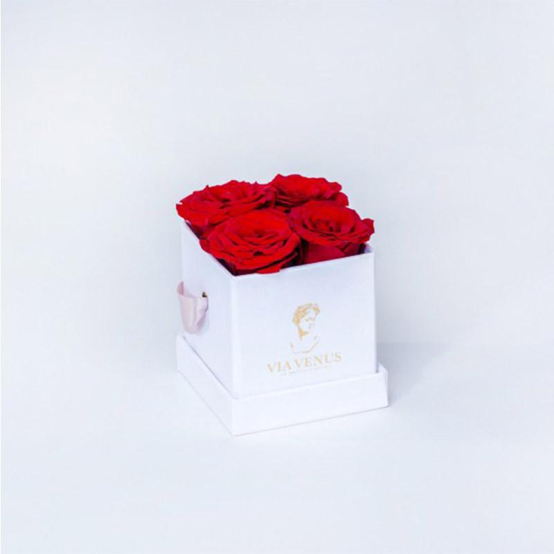 TENDRESSE BLANCHE ROSES ROUGES